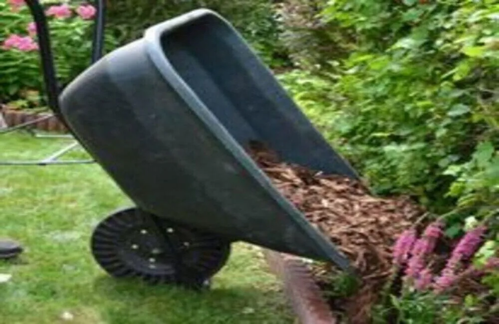 Affordable outdoor landscaping in Minneapolis, MN by Landscape & Concrete Center