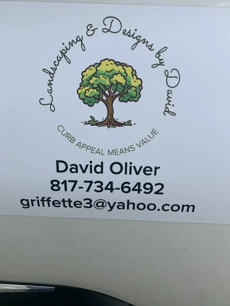 Expert landscape design in Groves, TX by Landscape & Design by David