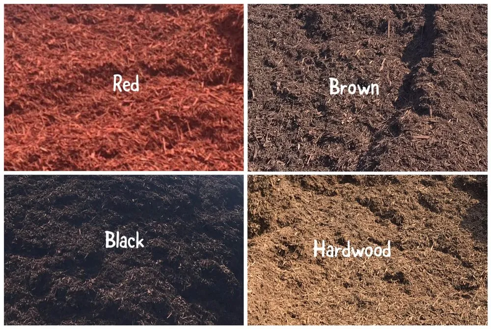 Reliable landscape installation experts serving Judsonia, AR - Landscape & Forestry Services