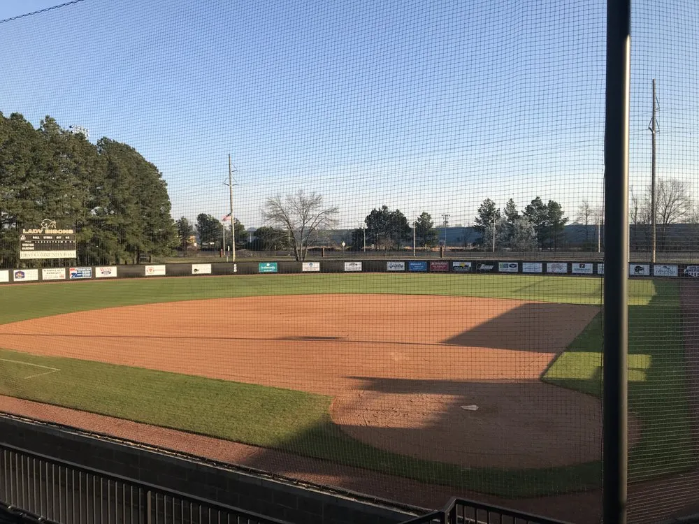 Top-rated yard cleanup service experts serving Judsonia, AR - Landscape & Forestry Services