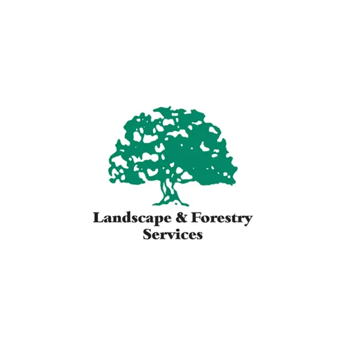 Custom yard maintenance for year-round maintenance in Judsonia, AR by Landscape & Forestry Services