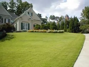 Expert outdoor landscaping experts serving Davie, FL - Landscape & Garden Design
