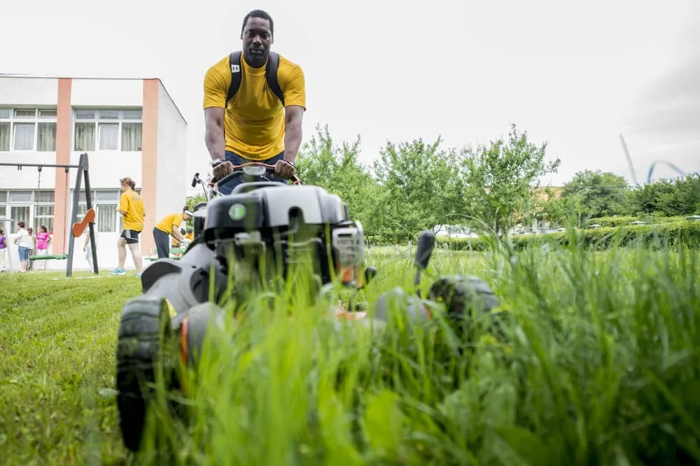 Affordable yard cleanup service in Boca Raton, FL by Landscape & Garden Pros