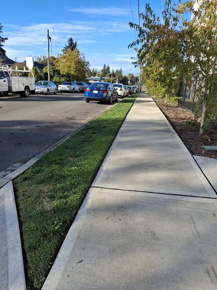 Custom lawn mowing service experts serving Kent, WA - Landscape & Gardening Alcasillas Kent