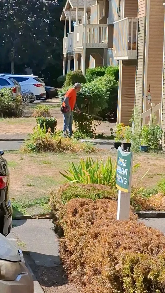 Reliable outdoor landscaping near you in Kent, WA by Landscape & Gardening Alcasillas Kent