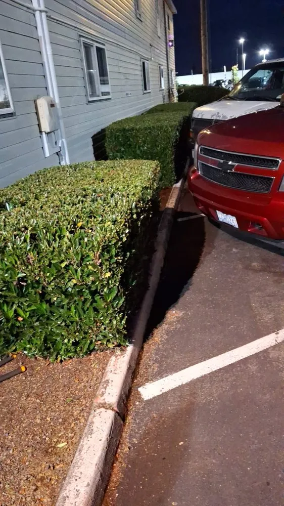 Expert outdoor landscaping in Kent, WA - Landscape & Gardening Alcasillas Kent