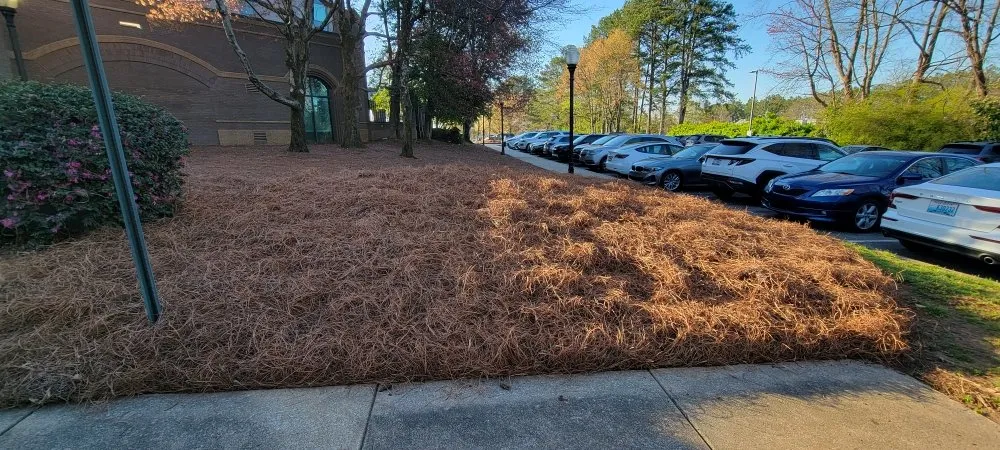 Trusted landscaping services in Norcross, GA - Landscape & Hardscape Services