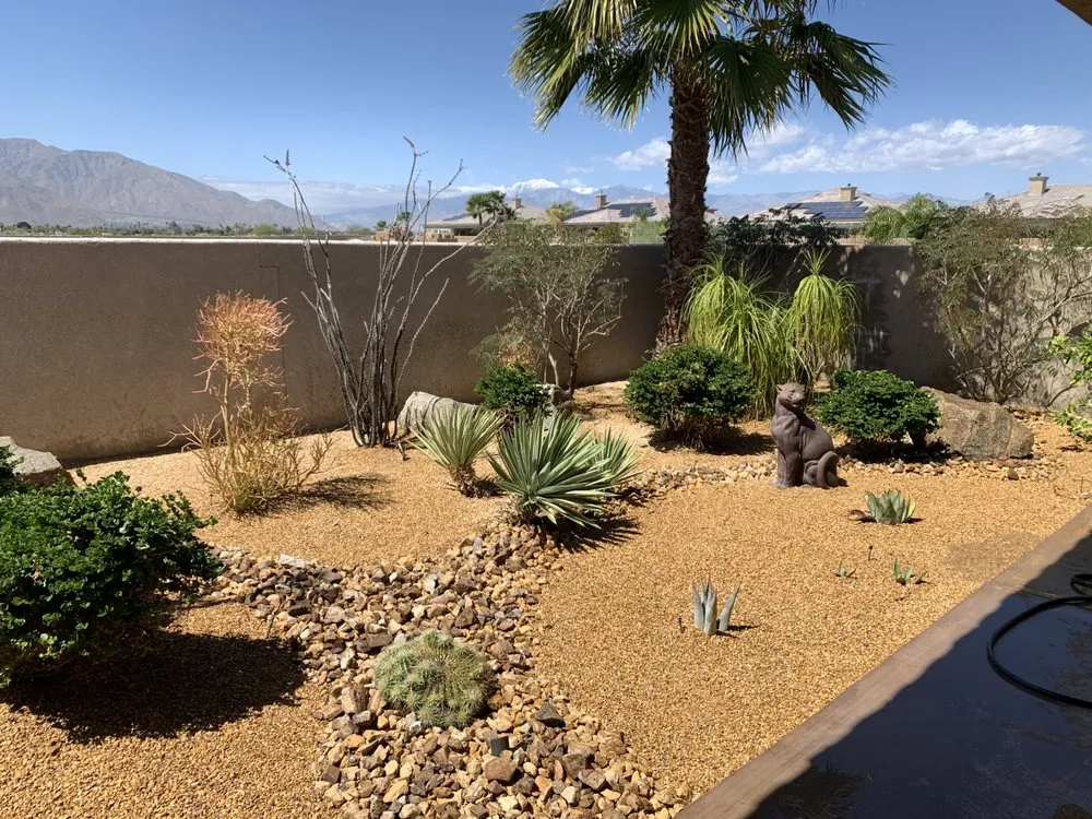 Reliable yard cleanup service with custom design across Cathedral City, CA - Landscape & Maintenance