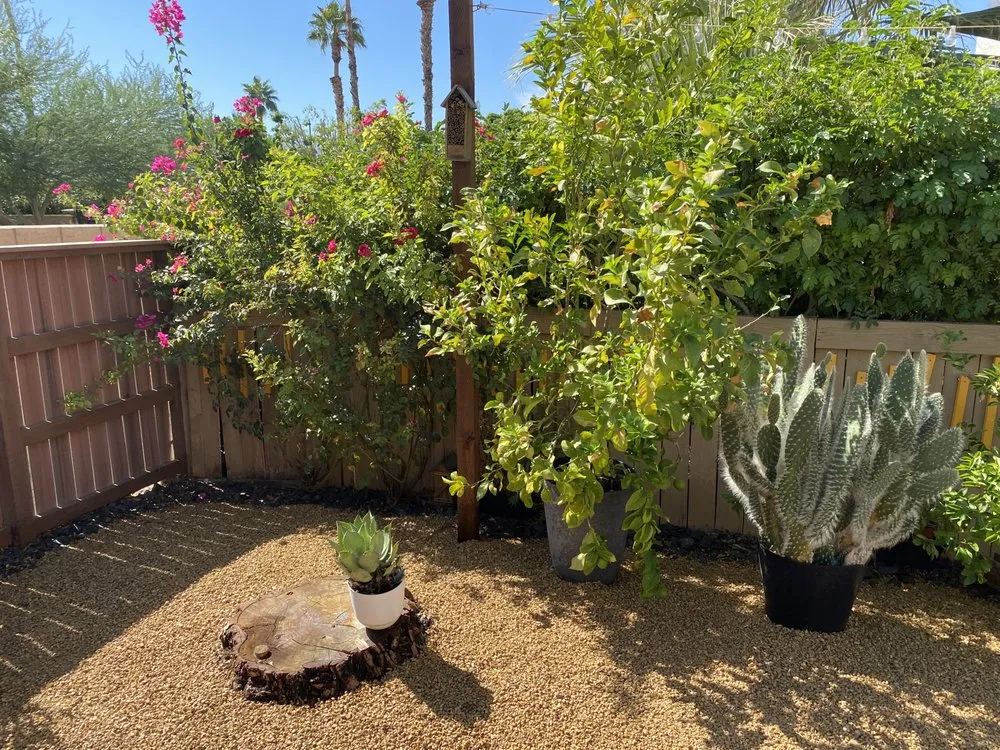 Expert residential landscaping experts serving Cathedral City, CA - Landscape & Maintenance