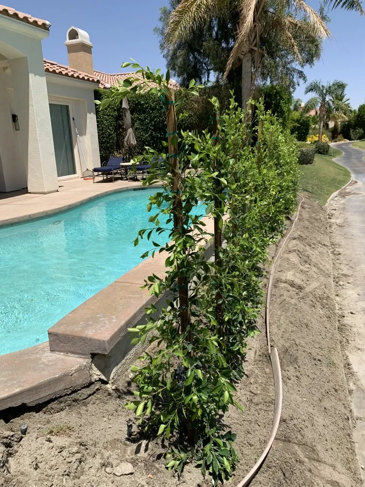 Reliable garden landscaping in Cathedral City, CA - Landscape & Maintenance