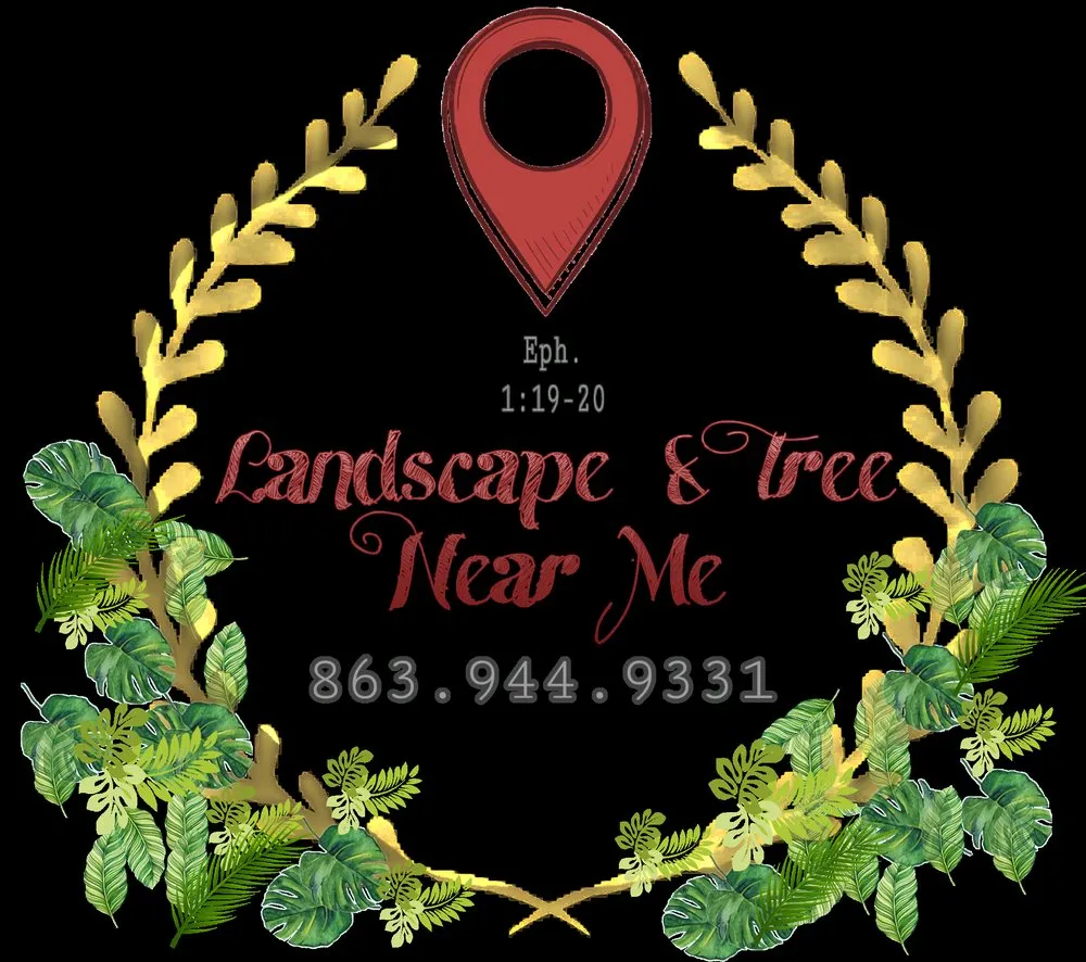 Affordable outdoor landscaping in Lakeland, FL - Landscape & Tree Near Me