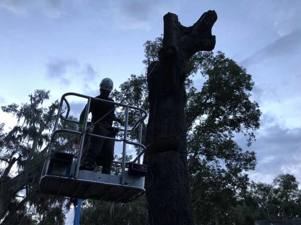 Expert landscape design for residential properties across Lakeland, FL - Landscape & Tree Near Me