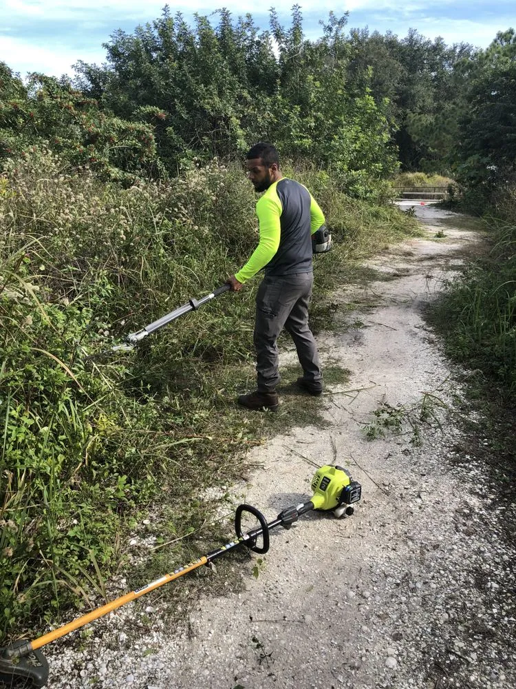 Custom lawn care service for outdoor upgrades across Lakeland, FL - Landscape & Tree Near Me