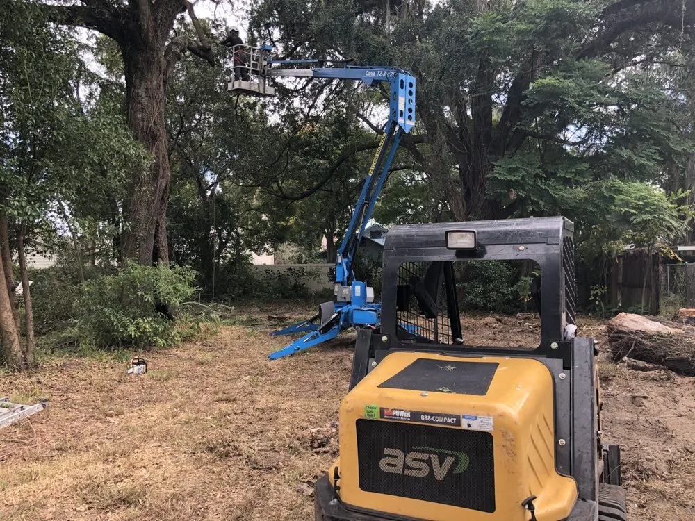 Top-rated yard maintenance for homes across Lakeland, FL - Landscape & Tree Near Me