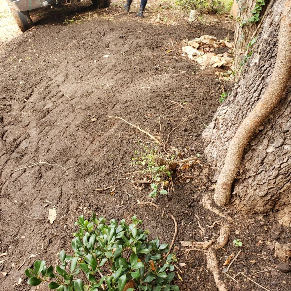 Custom yard maintenance in Atlanta, GA - Landscape 4 Life