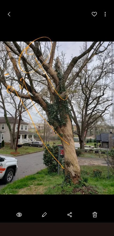 Local lawn mowing service experts serving Atlanta, GA - Landscape 4 Life