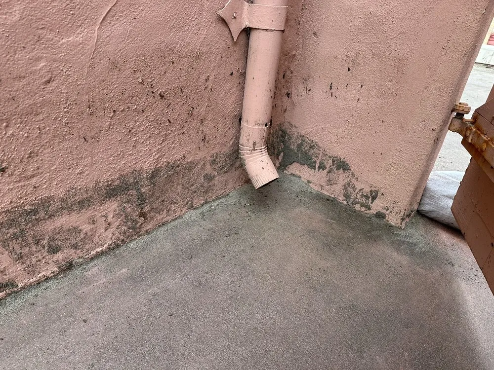 Affordable yard cleanup service in Capitola, CA by Landscape 4U