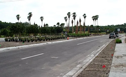 Expert landscape installation for year-round maintenance across Bradenton, FL - Landscape 941