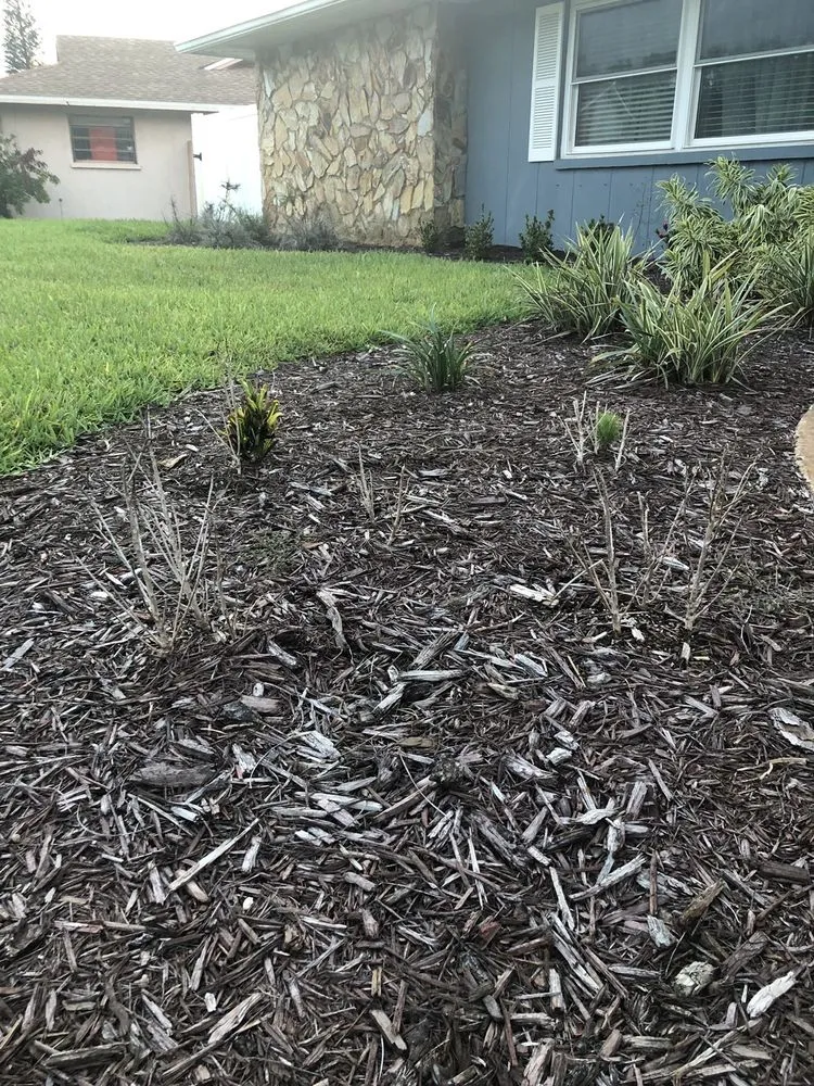 Reliable garden landscaping for residential properties in Bradenton, FL by Landscape 941