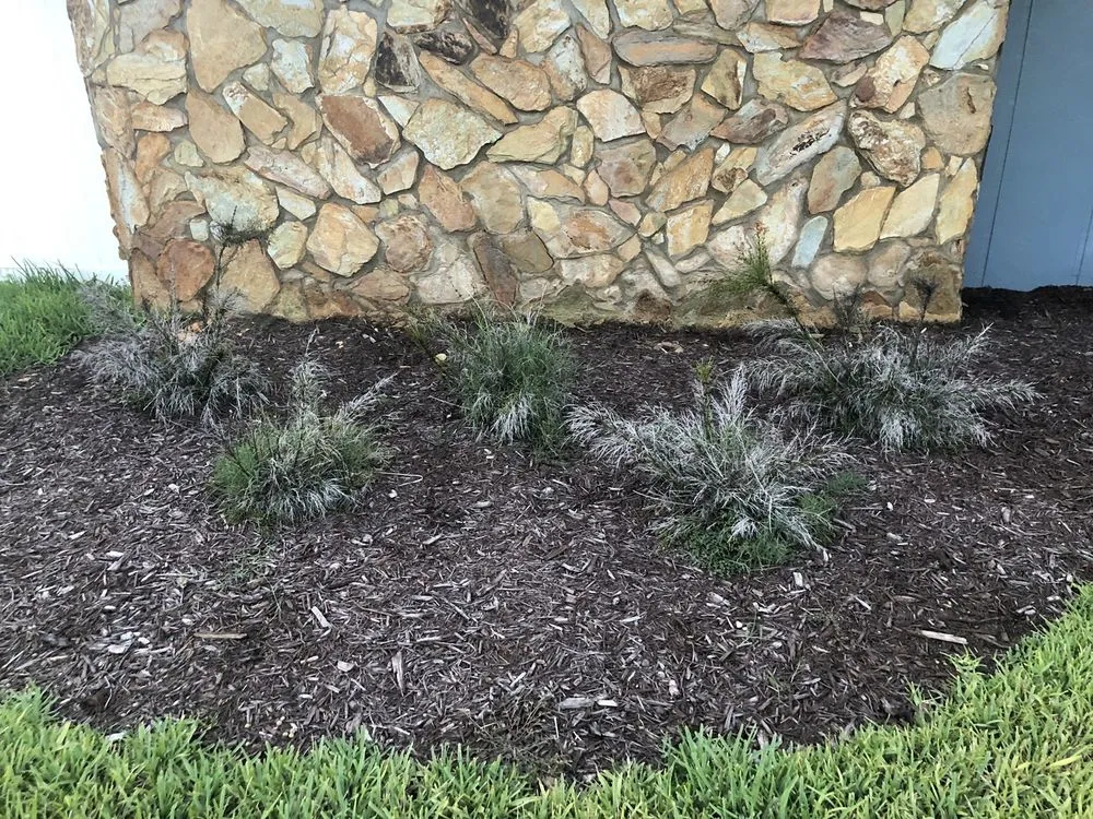 Trusted yard cleanup service in Bradenton, FL - Landscape 941