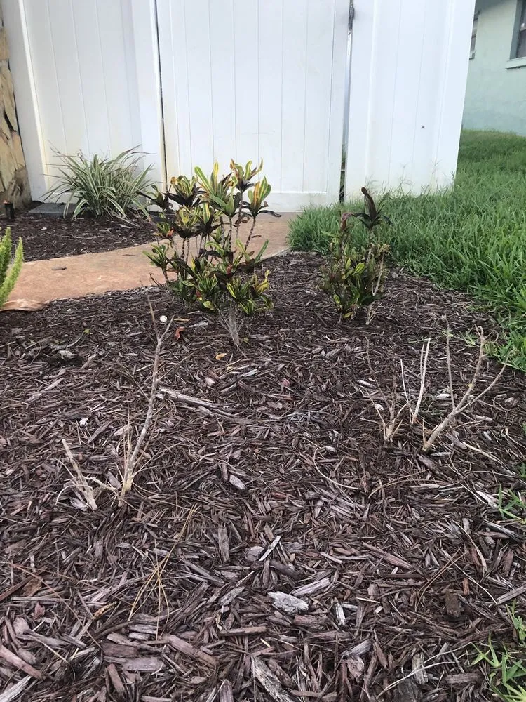 Local landscape installation in Bradenton, FL - Landscape 941