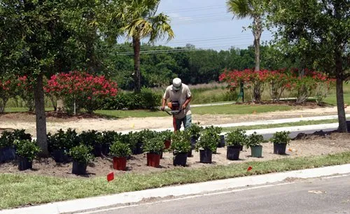 Custom landscape design for year-round maintenance across Bradenton, FL - Landscape 941