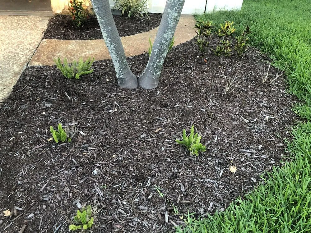 Reliable yard maintenance in Bradenton, FL by Landscape 941