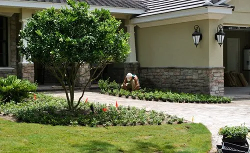 Reliable landscape design for beautiful yards across Bradenton, FL - Landscape 941