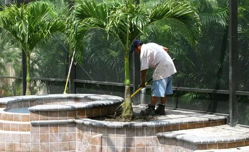 Affordable yard maintenance in Bradenton, FL - Landscape 941