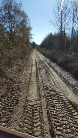 Custom lawn care service in Laurens, SC - Landscape Accents