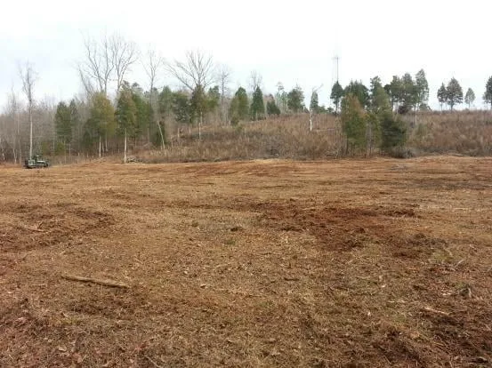 Professional yard maintenance with custom design across Laurens, SC - Landscape Accents