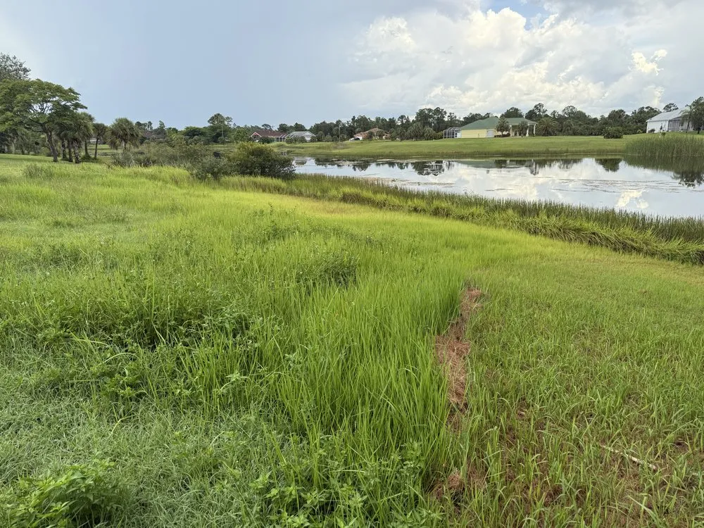 Trusted landscape installation in Lehigh Acres, FL - Landscape Adrian