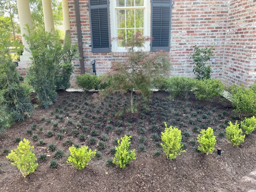 Top-rated landscaping services in Ponchatoula, LA by Landscape Advantage