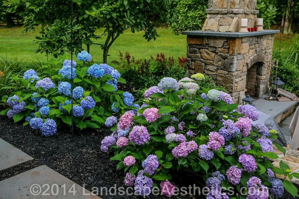 Custom yard maintenance in Bernardsville, NJ - Landscape Aesthetics