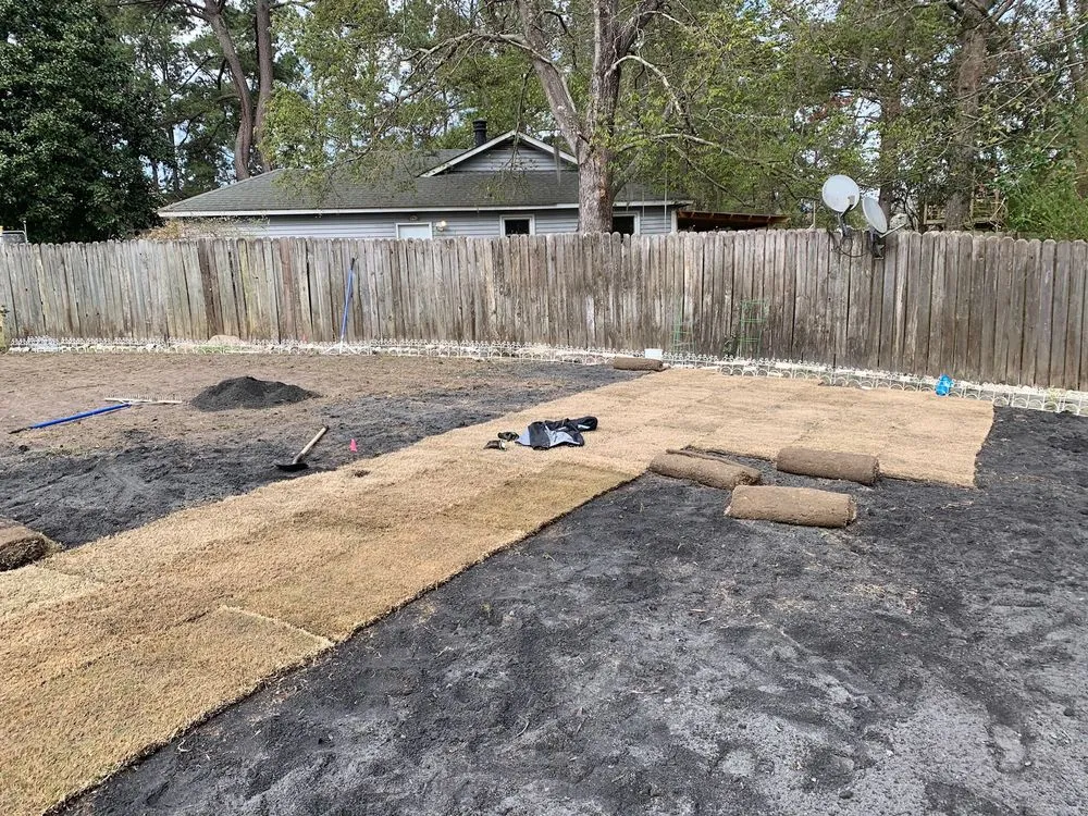 Reliable lawn care service in Goose Creek, SC by Landscape Aesthetics