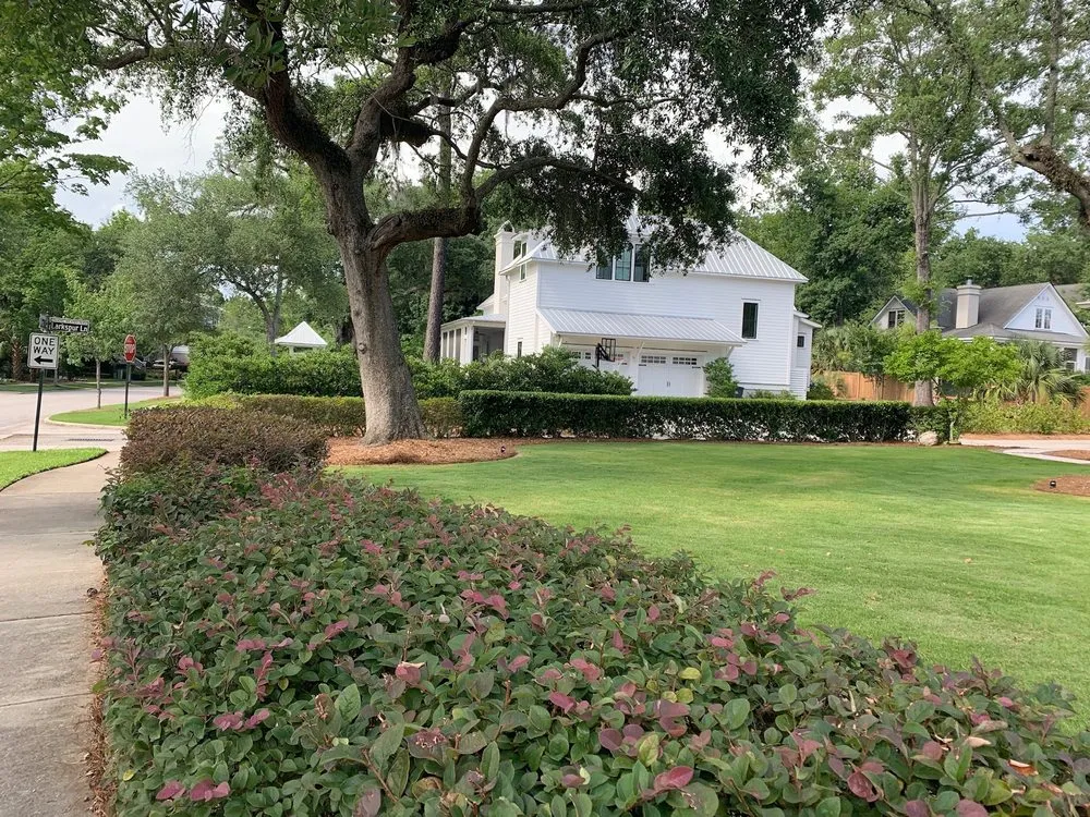 Professional garden landscaping with custom design across Goose Creek, SC - Landscape Aesthetics