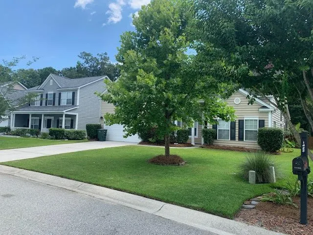 Top-rated yard maintenance in Goose Creek, SC by Landscape Aesthetics