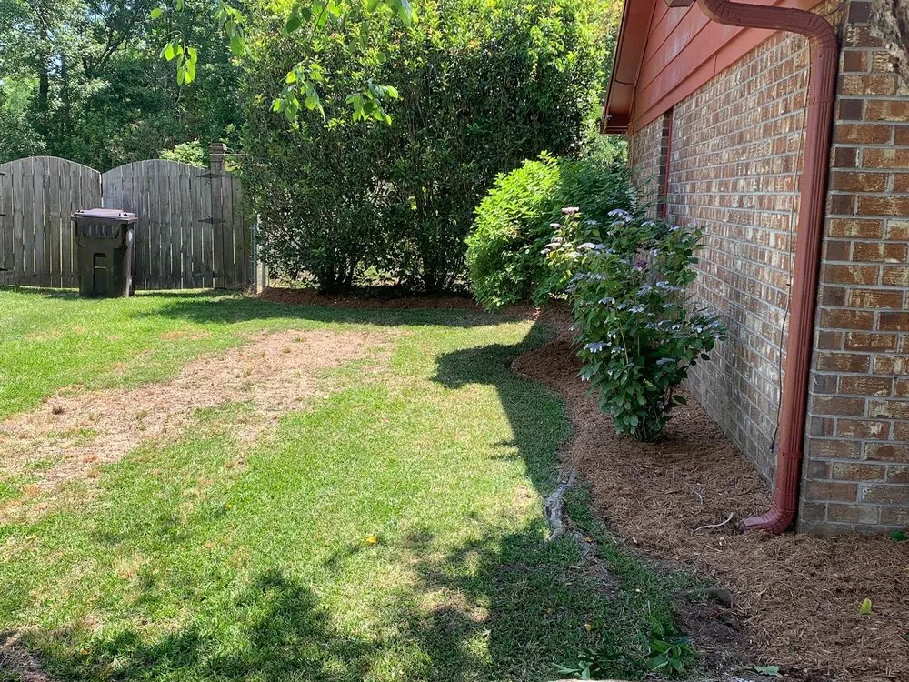 Professional landscape design for outdoor upgrades across Goose Creek, SC - Landscape Aesthetics