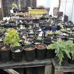 Trusted landscape installation experts serving Juneau, AK - Landscape Alaska