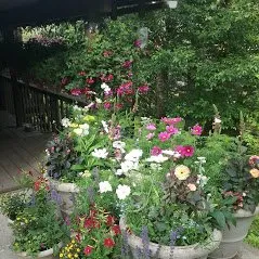 Custom lawn care service for residential properties across Juneau, AK - Landscape Alaska