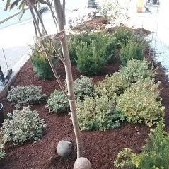 Trusted yard maintenance for year-round maintenance in Juneau, AK by Landscape Alaska