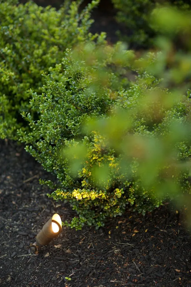 Reliable lawn care service in Wrentham, MA - Landscape America