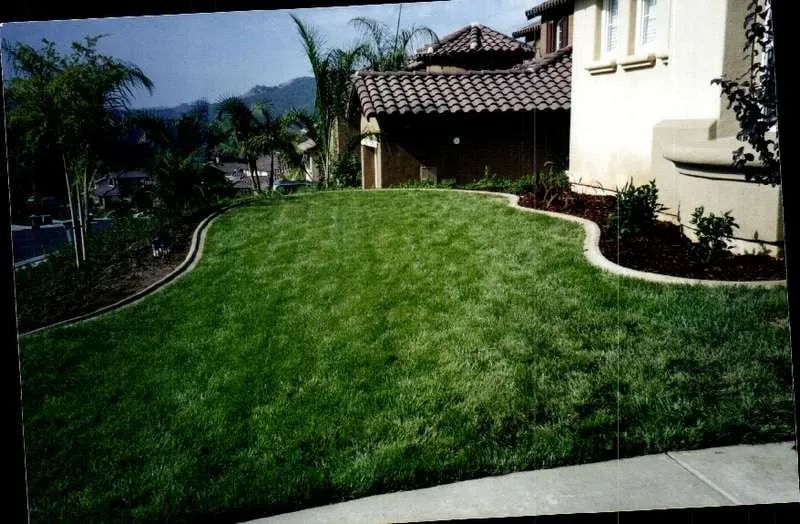 Trusted landscaping services in Escondido, CA - Landscape and Beyond