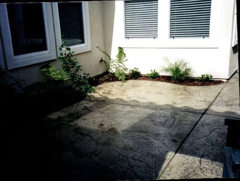 Trusted yard maintenance experts serving Escondido, CA - Landscape and Beyond