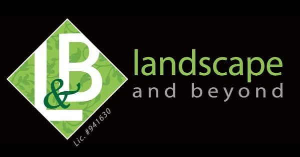 Expert yard cleanup service near you across Escondido, CA - Landscape and Beyond