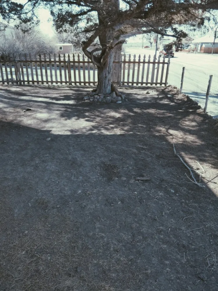 Local landscape installation experts serving Casper, WY - Landscape and Construction