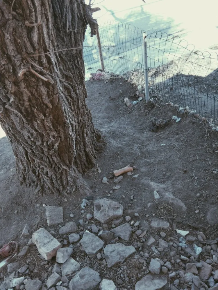 Reliable garden landscaping in Casper, WY - Landscape and Construction