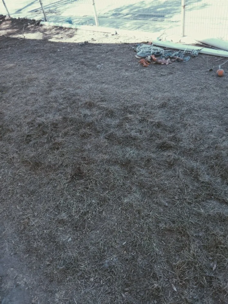 Top-rated landscaping services experts serving Casper, WY - Landscape and Construction