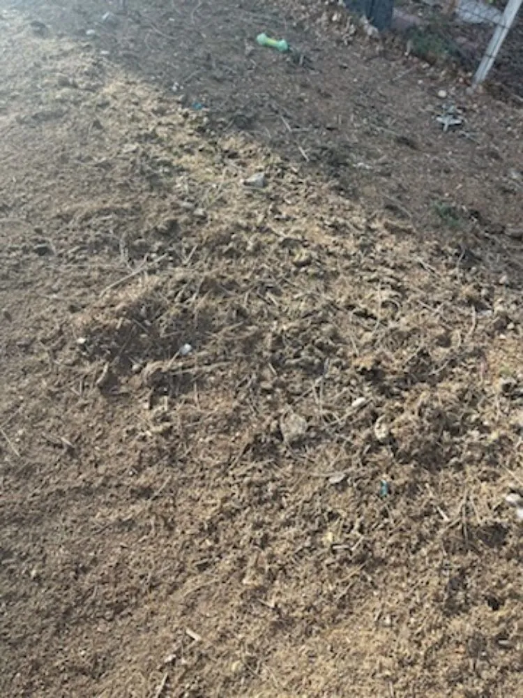 Top-rated landscape design for outdoor upgrades across Casper, WY - Landscape and Construction