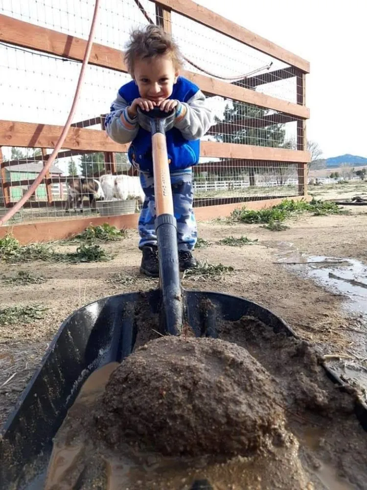 Reliable yard maintenance for residential properties across Casper, WY - Landscape and Construction